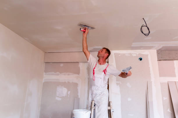 Best Drywall for New Construction  in Reedsville, WI